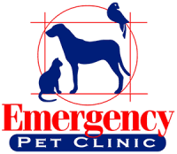 Emergency pet clinic