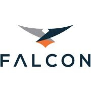 Falcon reviews