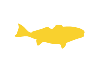 Fishing galveston tx
