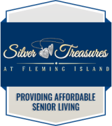 Fleming island silver company