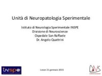 Istituto di neurologia sperimentale (inspe)