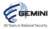Gemini industries inc