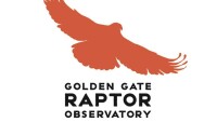 Golden gate raptor observatory