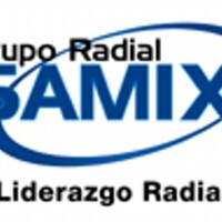Grupo radial samix