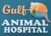 Gulf animal hospital