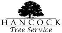 Hancock tree service