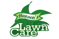Hanson lawn care