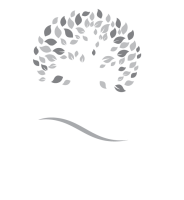 Honey creek apartments