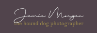 Hound dog photography