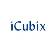Icubix infotech ltd