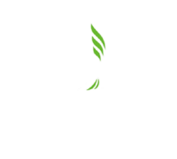 Indian institute of management, ranchi
