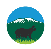 Kiboko safaris