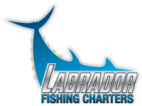 Labrador fishing charters