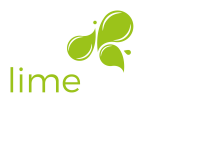 Lime design studio