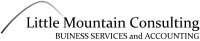 Little mountain consulting ltd.