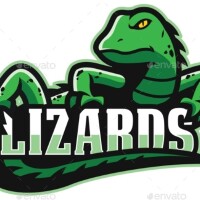 Lizard graphics