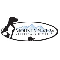 Lost mountain animal hospital