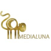 Medialuna agency