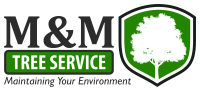 M & m tree service
