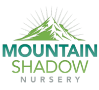 Mountain shadow nursery