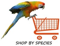 Nature chest bird shop