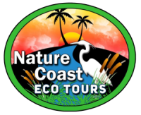 Nature coast charters