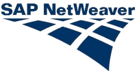 Netweaver network
