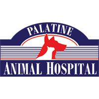 Palatine animal hospital ltd