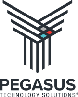Pegasus technology services inc