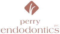 Perry endodontics