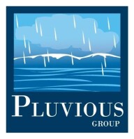 Pluvious group llc