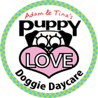 Puppy love daycare llc
