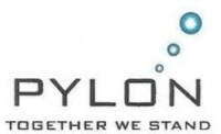 Pylon management consulting