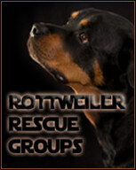 North east rottweiler rescue & referral inc