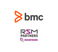 Rsm partners