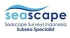 Seascape surveys