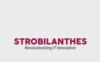Strobilanthes Technology Solutions India Pvt Ltd