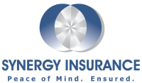 Synergy insurance group, inc.