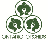Ontario orchids inc