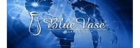 Blue Vase® Marketing