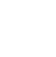 The groove cruise - miami