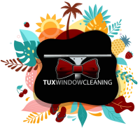 Tux window cleaning