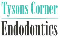 Tysons corner endodontics
