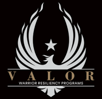 Valor resiliency
