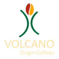 Volcanic origins