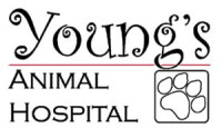 Youngs animal hospital