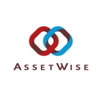 Asset Wise