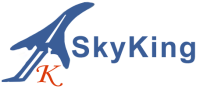 Skyking travel service