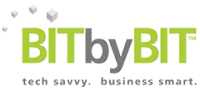 Bitbybit information systems