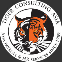 Black tiger consulting